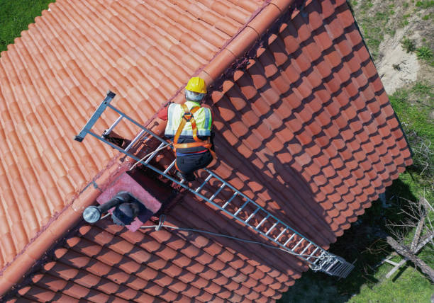 Best Sheet Metal Roofing  in Lincoln, AR
